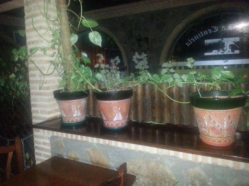 קונסוואגרה Posada De Los Consules מראה חיצוני תמונה